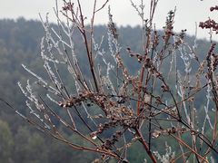 -龙洞风景区-藏龙涧