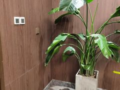 -尚宴(盛世广场·食尚街店)