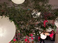 -馋嘴猫北京食堂·烤鸭·宵夜(亚运村店)