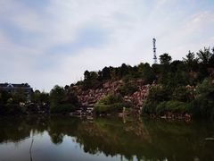 -铁山坪森林公园