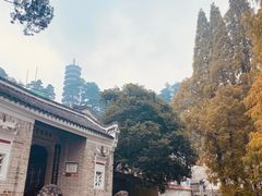 -南岳衡山风景名胜区