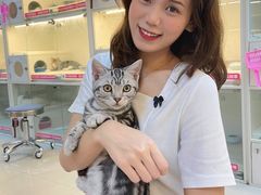 -lincat·猫舍(广州店)