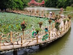 -中国科学院西双版纳热带植物园