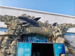 -秦皇岛乐岛海洋王国