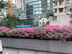 -珠江夜游省总码头