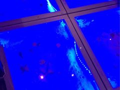 -美豪怡致酒店(上海长寿路店)