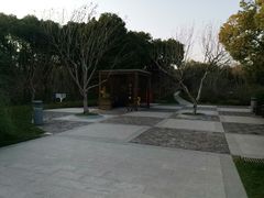 -昆山城市生态森林公园