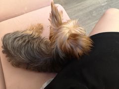 -浣熊柯尔鸭土拨鼠·电玩咖