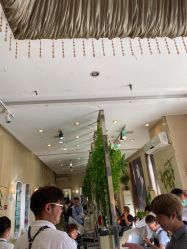 -卡尔诗·科技美肤连锁