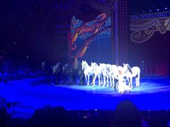 -珠海横琴长隆《卡卡虎奇遇记》