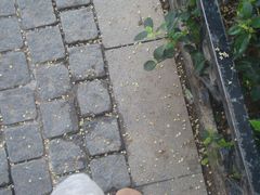 -飞马旅黎黄陂路文旅街区