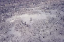 -大秃顶子山(雪谷店)