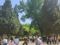 -二一九公园