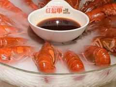 -红盔甲·小龙虾(天钥桥店)