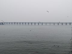-星海蹦极娱乐