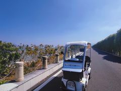 -芒洲湿地公园