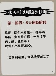 -Fundi张玉珊修身堂·indiba·BTL科技瘦身