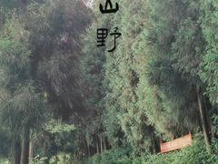 -武陵山森林公园