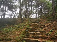 -南山植物园