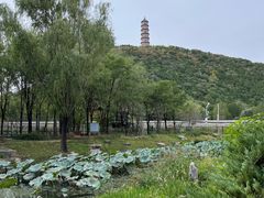 -北坞公园