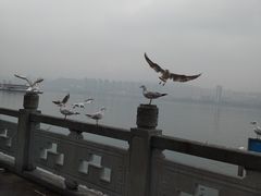 -丰都鬼城名山景区