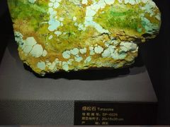 -湖南省地质博物馆