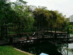 -晓港公园