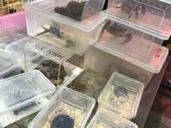 -华声天桥民俗文化园