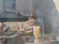 -西安秦岭野生动物园