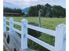 -瑞穗牧场