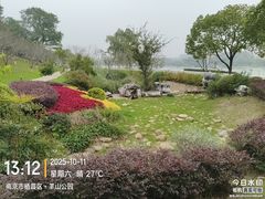 -羊山湖公园