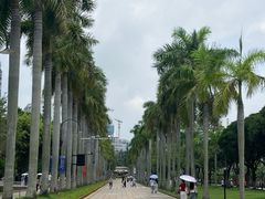 -厦门大学(思明校区)