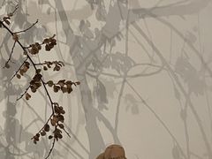 -苏州本色美术馆