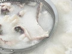 脆鲩鱼腩-中山脆肉鲩(新圳东路店)