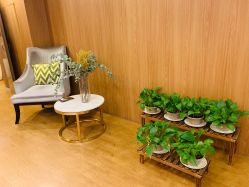 -海豚湾高端月子会所(黄浦店)