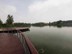-东郊湿地公园