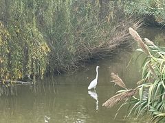 -西安浐灞国家湿地公园