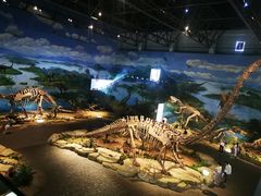 -自贡恐龙博物馆