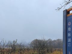 -大九湖