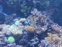 -欢乐海岸海洋奇梦馆