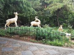 -西苑公园