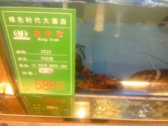 -绿色时代大酒店