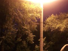 -哈尔滨文化公园