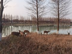 -苏州太湖国家湿地公园