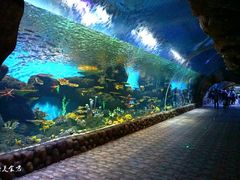 -华夏文旅海洋公园