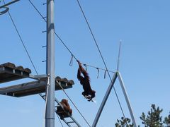 -西霞口神雕山野生动物世界
