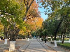 -山东大学(趵突泉校区)