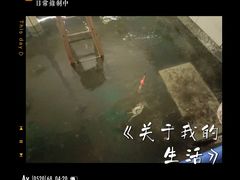 -小象钓虾·营地烧烤(洛溪店)