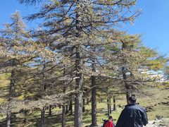 -芦芽山旅游度假区