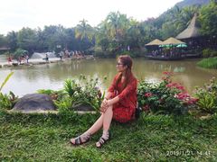 -呀诺达热带雨林